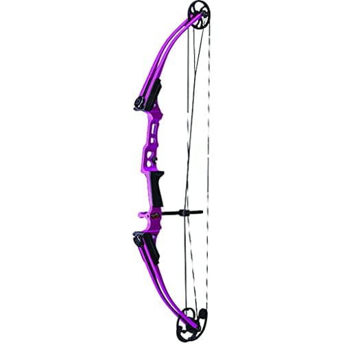 Archery Basic Bows
