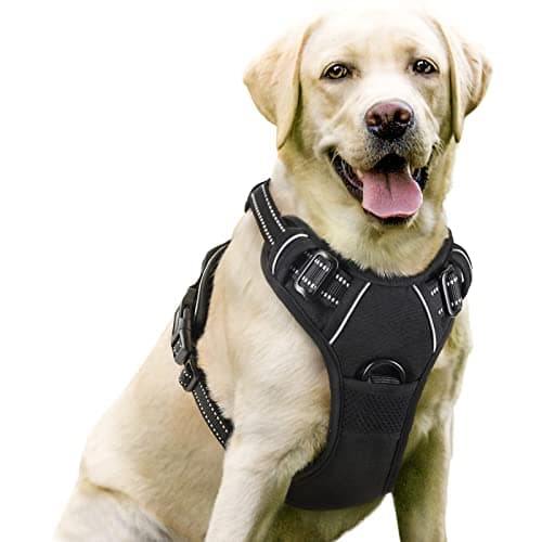 Dog Vest Harnesses