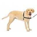 Dog Halter Harnesses